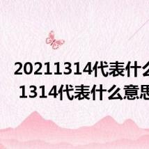 20211314代表什么意思 1314代表什么意思