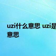 uzi什么意思 uzi是什么意思