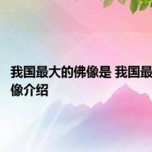 我国最大的佛像是 我国最大的佛像介绍
