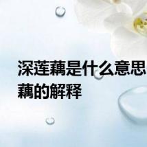 深莲藕是什么意思 深莲藕的解释