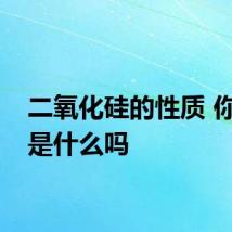 二氧化硅的性质 你知道是什么吗