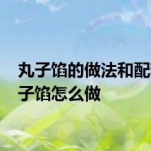 丸子馅的做法和配料 丸子馅怎么做