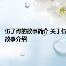 伍子胥的故事简介 关于伍子胥的故事介绍