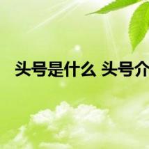 头号是什么 头号介绍