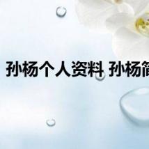 孙杨个人资料 孙杨简介