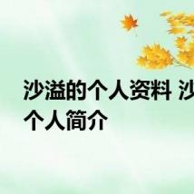 沙溢的个人资料 沙溢的个人简介