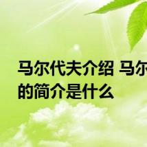 马尔代夫介绍 马尔代夫的简介是什么