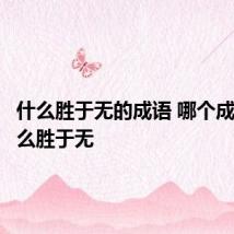 什么胜于无的成语 哪个成语是什么胜于无