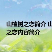 山楂树之恋简介 山楂树之恋内容简介