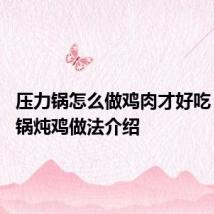 压力锅怎么做鸡肉才好吃 电压力锅炖鸡做法介绍