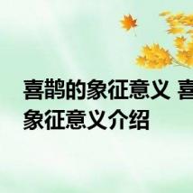 喜鹊的象征意义 喜鹊的象征意义介绍