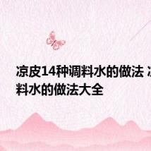 凉皮14种调料水的做法 凉皮调料水的做法大全