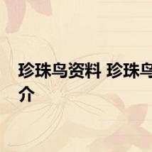 珍珠鸟资料 珍珠鸟的简介