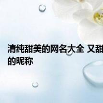 清纯甜美的网名大全 又甜又可爱的昵称