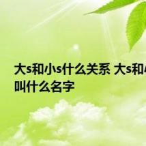 大s和小s什么关系 大s和小分别叫什么名字