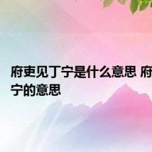 府吏见丁宁是什么意思 府吏见丁宁的意思