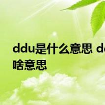 ddu是什么意思 ddu是啥意思