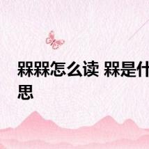 槑槑怎么读 槑是什么意思