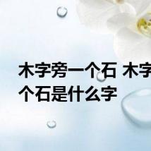 木字旁一个石 木字旁一个石是什么字