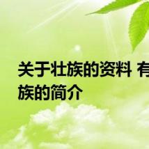 关于壮族的资料 有关壮族的简介