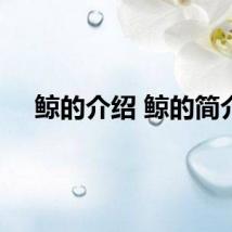 鲸的介绍 鲸的简介