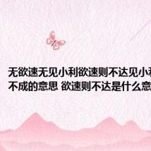 无欲速无见小利欲速则不达见小利则大事不成的意思 欲速则不达是什么意思