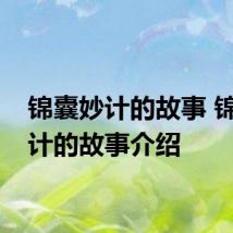 锦囊妙计的故事 锦囊妙计的故事介绍