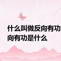 什么叫做反向有功 那正向有功是什么