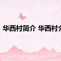 华西村简介 华西村介绍