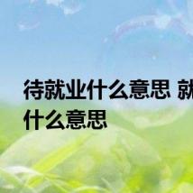 待就业什么意思 就业是什么意思