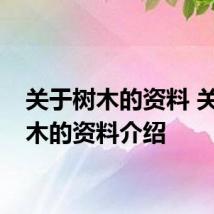 关于树木的资料 关于树木的资料介绍