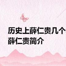历史上薛仁贵几个老婆 薛仁贵简介