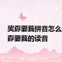 巭孬嫑莪拼音怎么读 巭孬嫑莪的读音