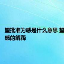 望批准为感是什么意思 望批准为感的解释