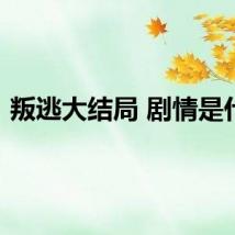 叛逃大结局 剧情是什么