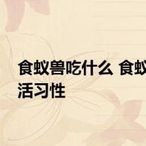 食蚁兽吃什么 食蚁兽生活习性