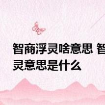 智商浮灵啥意思 智商浮灵意思是什么