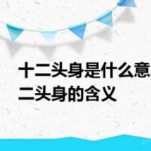 十二头身是什么意思 十二头身的含义