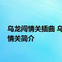 乌龙闯情关插曲 乌龙闯情关简介