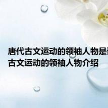 唐代古文运动的领袖人物是谁 唐代古文运动的领袖人物介绍