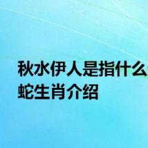 秋水伊人是指什么生肖 蛇生肖介绍