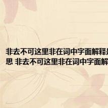 非去不可这里非在词中字面解释是不的意思 非去不可这里非在词中字面解释