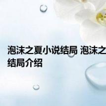 泡沫之夏小说结局 泡沫之夏小说结局介绍