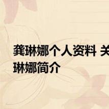 龚琳娜个人资料 关于龚琳娜简介