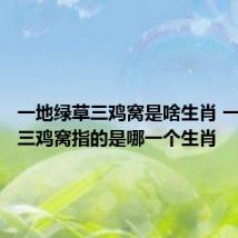 一地绿草三鸡窝是啥生肖 一地绿草三鸡窝指的是哪一个生肖
