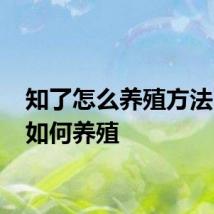 知了怎么养殖方法 知了如何养殖
