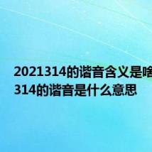 2021314的谐音含义是啥 2021314的谐音是什么意思