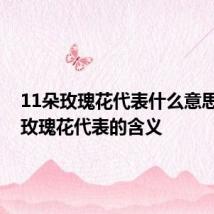 11朵玫瑰花代表什么意思 11朵玫瑰花代表的含义