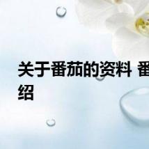 关于番茄的资料 番茄介绍