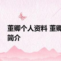 董卿个人资料 董卿个人简介